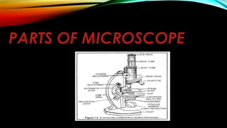 PARTS OF MICROSCOPE
 