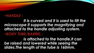 •HANDLE :
It is curved and it is used to tilt the
microscope it supports the magnifying and
attached to the handle adjusting system.
•BODY TUBE/BARREL :
is attached to the handle,it can
be raised and lowered while seeing the
slides.The length of the tube is 160mm.
 