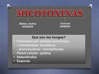 Mykes, mukos
HONGOS
Toxicum
VENENO
 