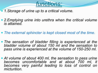 functions:
 1.Storage of urine up to a critical volume.
 2.Emptying urine into urethra when the critical volume
is attained.
 The external sphincter is kept closed most of the time.
 The sensation of bladder filling is experienced at the
bladder volume of about 150 ml and the sensation to
pass urine is experienced at the volume of 150-250 ml.
 At volume of about 400 ml, the sensation to pass urine
becomes uncomfortable and at about 700 ml, it
becomes very painful leading to loss of control on
micturition.
 