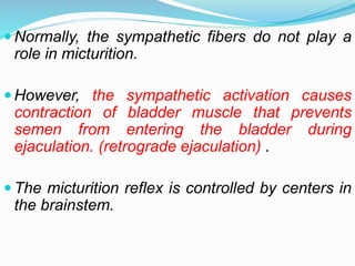  Normally, the sympathetic fibers do not play a
role in micturition.
 However, the sympathetic activation causes
contraction of bladder muscle that prevents
semen from entering the bladder during
ejaculation. (retrograde ejaculation) .
 The micturition reflex is controlled by centers in
the brainstem.
 