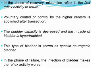  In the phase of recovery, micturition reflex is the first
reflex activity to return.
 Voluntary control or control by the higher centers is
abolished after transection.
 The bladder capacity is decreased and the muscle of
bladder is hypertrophied.
 This type of bladder is known as spastic neurogenic
bladder.
 In the phase of failure, the infection of bladder makes
the reflex activity worse.
 