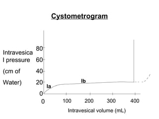 Cystometrogram 100  200  300  400 Intravesical volume (mL) Intravesical pressure (cm of  Water) 80 60 40 20 0 0 Ia Ib 