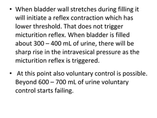 When bladder wall stretches during filling it will initiate a reflex contraction which has lower threshold. That does not trigger micturition reflex. When bladder is filled about 300 – 400 mL of urine, there will be sharp rise in the intravesical pressure as the micturition reflex is triggered. At this point also voluntary control is possible. Beyond 600 – 700 mL of urine voluntary control starts failing. 