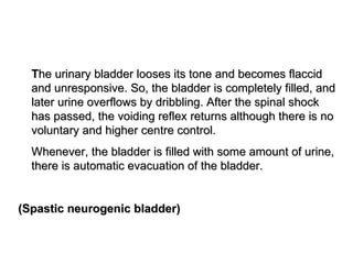 T he urinary bladder looses its tone and becomes flaccid and unresponsive. So, the bladder is completely filled, and later urine overflows by dribbling. After the spinal shock has passed, the voiding reflex returns although there is no voluntary and higher centre control.  Whenever, the bladder is filled with some amount of urine, there is automatic evacuation of the bladder. (Spastic neurogenic bladder) 