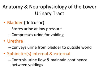 Anatomy & Neurophysiology of the Lower Urinary Tract Bladder  (detrusor) Stores urine at low pressure Compresses urine for voiding Urethra Conveys urine from bladder to outside world Sphincter(s) internal & external Controls urine flow & maintain continence between voidings 