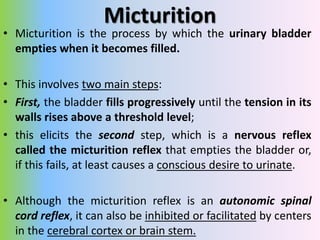 Micturition
• Micturition is the process by which the urinary bladder
empties when it becomes filled.
• This involves two ...