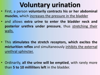 Abnormalities of Micturition
• Uninhibited Neurogenic Bladder Caused by Lack of
Inhibitory Signals from the Brain.
• frequ...