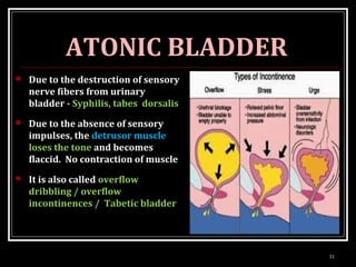 MICTURITION | PPT