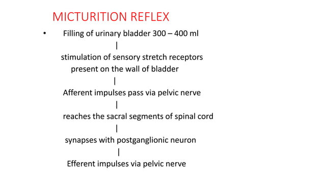 Micturition (The Guyton and Hall physiology) | PPTX