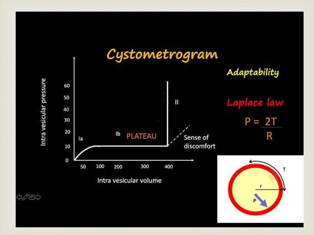 Physiology of Micturition- Cystometrogram.pptx | Brain and Nervous ...