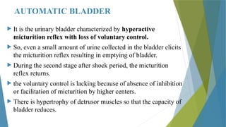 Renal Physiology - Micturition, Functional anatomy of Urinary Bladder ...