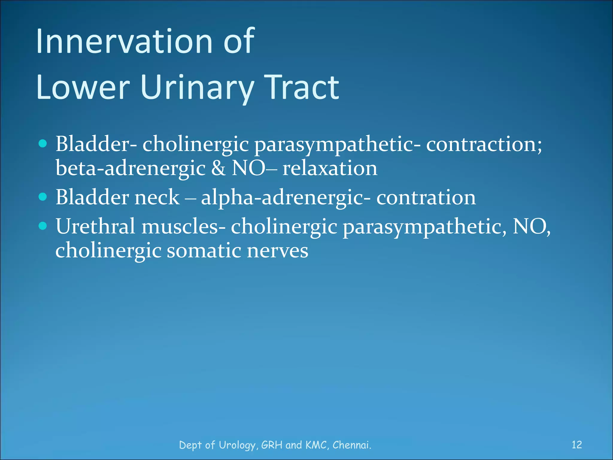 Which Of The Following Is Not A Step In Micturition Physiology of Micturition | PPT