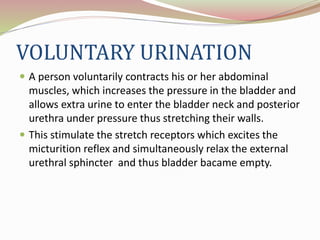 VOLUNTARY URINATION
 A person voluntarily contracts his or her abdominal
muscles, which increases the pressure in the bladder and
allows extra urine to enter the bladder neck and posterior
urethra under pressure thus stretching their walls.
 This stimulate the stretch receptors which excites the
micturition reflex and simultaneously relax the external
urethral sphincter and thus bladder bacame empty.
 
