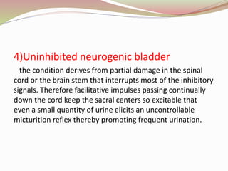 4)Uninhibited neurogenic bladder
the condition derives from partial damage in the spinal
cord or the brain stem that interrupts most of the inhibitory
signals. Therefore facilitative impulses passing continually
down the cord keep the sacral centers so excitable that
even a small quantity of urine elicits an uncontrollable
micturition reflex thereby promoting frequent urination.
 