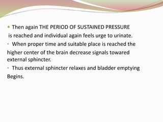  Then again THE PERIOD OF SUSTAINED PRESSURE
is reached and individual again feels urge to urinate.
• When proper time and suitable place is reached the
higher center of the brain decrease signals towared
external sphincter.
• Thus external sphincter relaxes and bladder emptying
Begins.
 