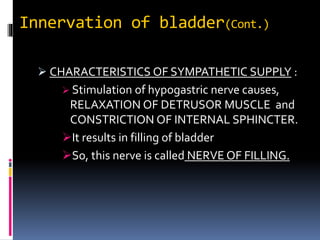 Micturition reflex | PPTX