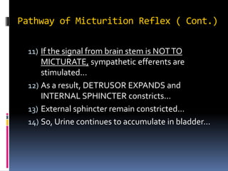 Micturition reflex | PPTX