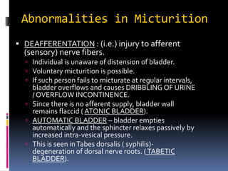 Micturition reflex | PPTX
