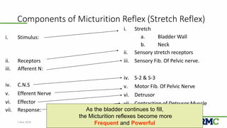 Micturition | PPTX