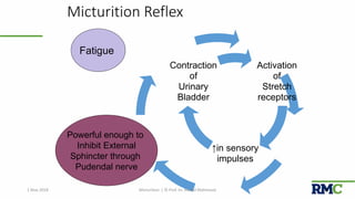 Micturition | PPTX