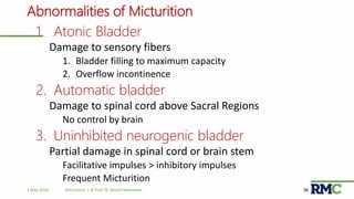 Micturition | PPTX
