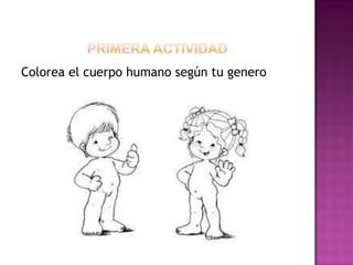 Colorea el cuerpo humano según tu genero

 