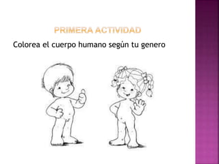 Colorea el cuerpo humano según tu genero
 