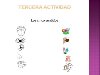 Los cinco sentidos
 