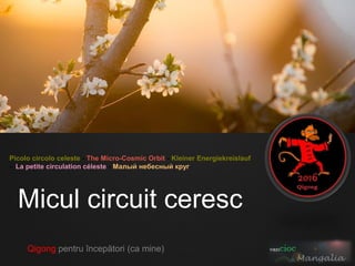 Micul circuit ceresc
Qigong pentru începători (ca mine)
Picolo circolo celeste - The Micro-Cosmic Orbit - Kleiner Energiekreislauf
- La petite circulation céleste - Малый небесный круг
 