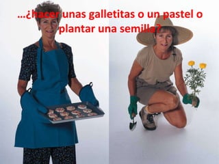 … ¿hacer unas galletitas o un pastel o plantar una semilla? 