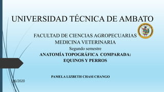 UNIVERSIDAD TÉCNICA DE AMBATO
FACULTAD DE CIENCIAS AGROPECUARIAS
MEDICINA VETERINARIA
Segundo semestre
ANATOMÍA TOPOGRÁFICA COMPARADA:
EQUINOS Y PERROS
PAMELA LIZBETH CHASI CHANGO
1/6/2020
 