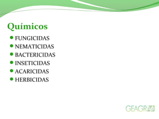 Químicos 
FUNGICIDAS 
NEMATICIDAS 
BACTERICIDAS 
INSETICIDAS 
ACARICIDAS 
HERBICIDAS 
 
