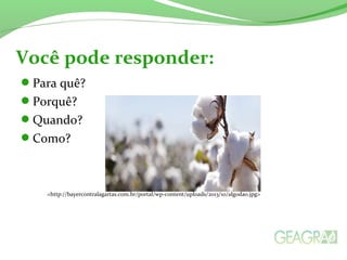 Você pode responder: 
Para quê? 
Porquê? 
Quando? 
Como? 
<http://bayercontralagartas.com.br/portal/wp-content/uploads/2013/10/algodao.jpg> 
 