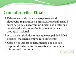 Considerações Finais 
Existem cerca de mais de 250 patógenos do 
algodoeiro registrados na literatura especializada. E 
cerca de 30 deles ocorrem no Brasil, e 10 destes são 
considerados de importância primária para a 
produção nacional. 
A partir de tais dados temos que o papel do MID é 
decisivo, mas nem sempre auto-suficiente. 
Cabe a nós utilizar as ferramentas que nos são 
disponibilizadas de forma correta e sensata para 
minimização de riscos. 
 