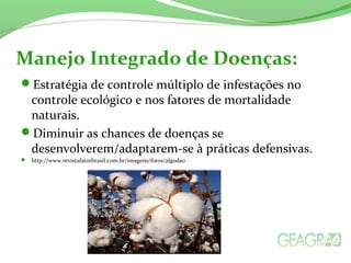 Manejo Integrado de Doenças: 
Estratégia de controle múltiplo de infestações no 
controle ecológico e nos fatores de mortalidade 
naturais. 
Diminuir as chances de doenças se 
desenvolverem/adaptarem-se à práticas defensivas. 
 http://www.revistafatorbrasil.com.br/imagens/fotos/algodao 
 