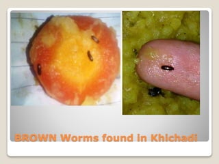BROWN Worms found in Khichadi
 