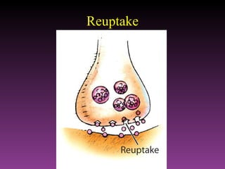 Reuptake 