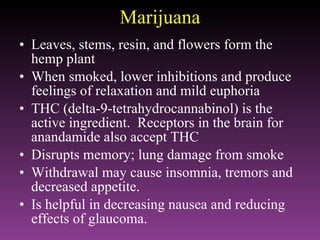 Marijuana Leaves, stems, resin, and flowers form the hemp plant  When smoked, lower inhibitions and produce feelings of relaxation and mild euphoria THC (delta-9-tetrahydrocannabinol) is the active ingredient.  Receptors in the brain for anandamide also accept THC Disrupts memory; lung damage from smoke Withdrawal may cause insomnia, tremors and decreased appetite. Is helpful in decreasing nausea and reducing effects of glaucoma. 