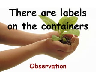 There are labels on the containers Observation 