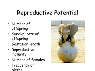 Reproductive Potential ,[object Object],[object Object],[object Object],[object Object],[object Object],[object Object]