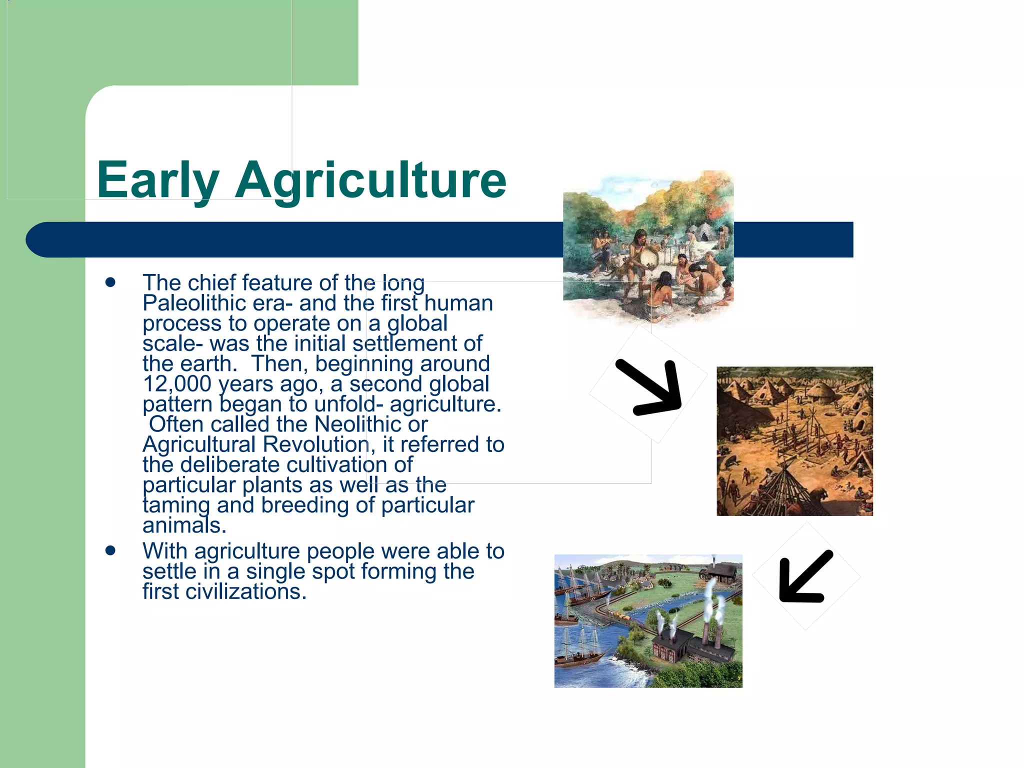 Early Agriculture The chief feature of the long Paleolithic era- and the first human process to operate on a global scale- was the initial settlement of the earth.  Then, beginning around 12,000 years ago, a second global pattern began to unfold- agriculture.  Often called the Neolithic or Agricultural Revolution, it referred to the deliberate cultivation of particular plants as well as the taming and breeding of particular animals. With agriculture people were able to settle in a single spot forming the first civilizations. 