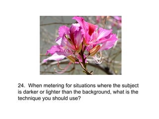 24. When metering for situations where the subject
is darker or lighter than the background, what is the
technique you should use?
 