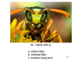 42. Taken with a:

a. macro lens
b. infrared filter
                      43
c. medium-long lens
 