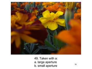 49. Taken with a:
a. large aperture
                    50
b. small aperture
 