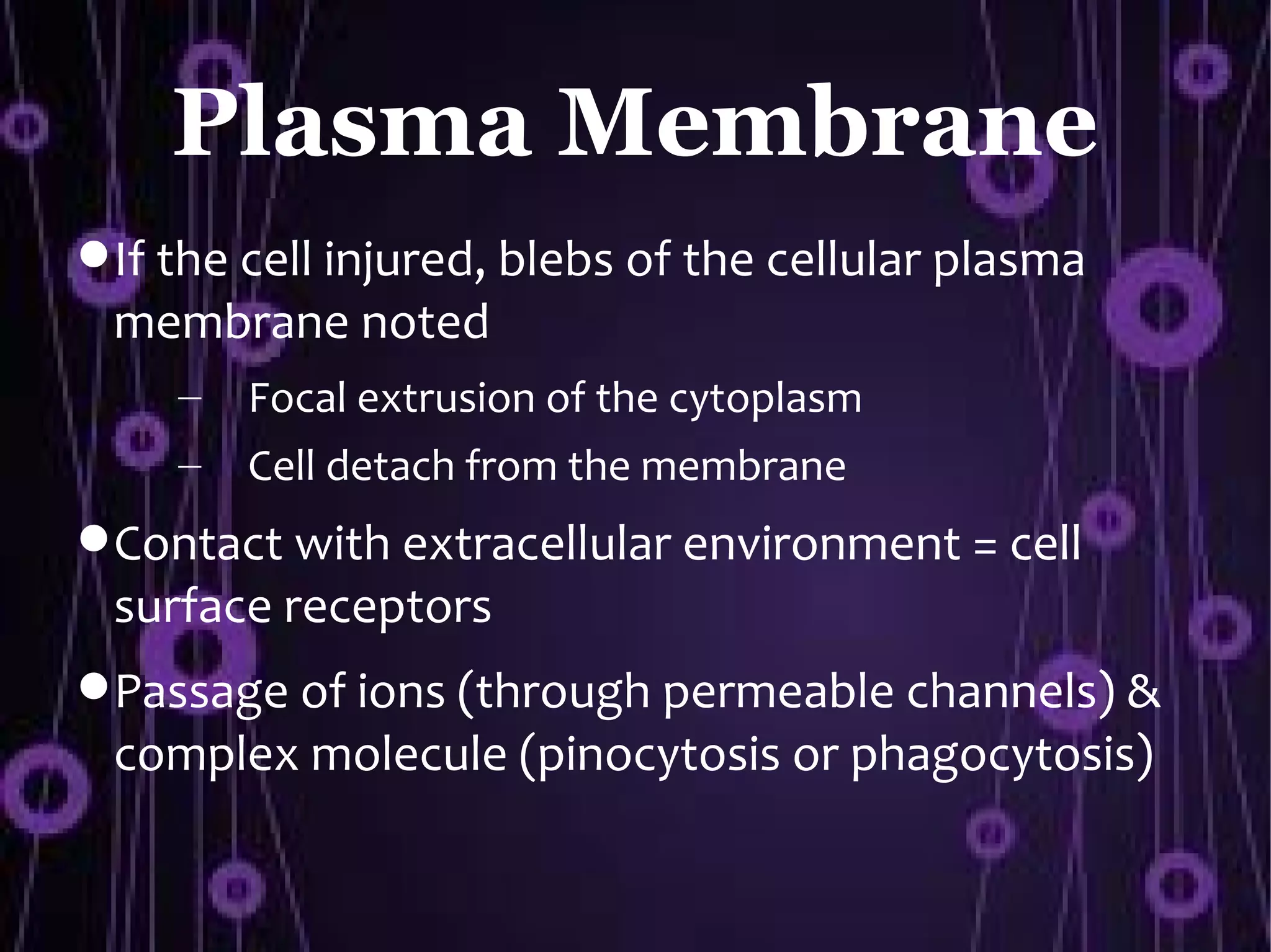Plasma Membrane
 If the cell injured, blebs of the cellular plasma
 membrane noted
     –   Focal extrusion of the cytoplasm
     –   Cell detach from the membrane
 Contact with extracellular environment = cell
 surface receptors
 Passage of ions (through permeable channels) &
 complex molecule (pinocytosis or phagocytosis)
 