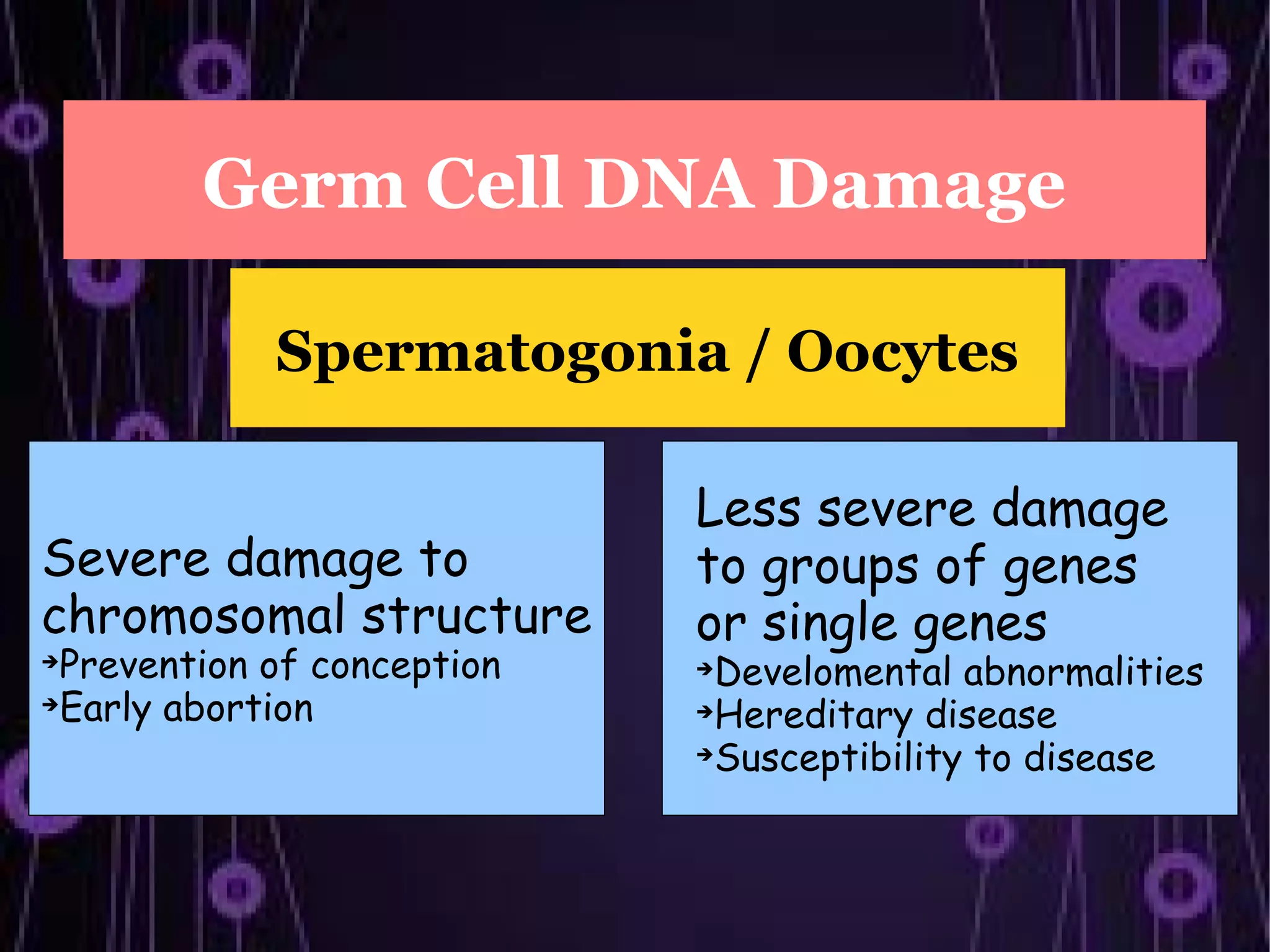 Germ Cell DNA Damage

            Spermatogonia / Oocytes

                            Less severe damage
Severe damage to            to groups of genes
chromosomal structure       or single genes

 Prevention of conception   
                             Develomental abnormalities

 Early abortion             
                             Hereditary disease
                            
                             Susceptibility to disease
 