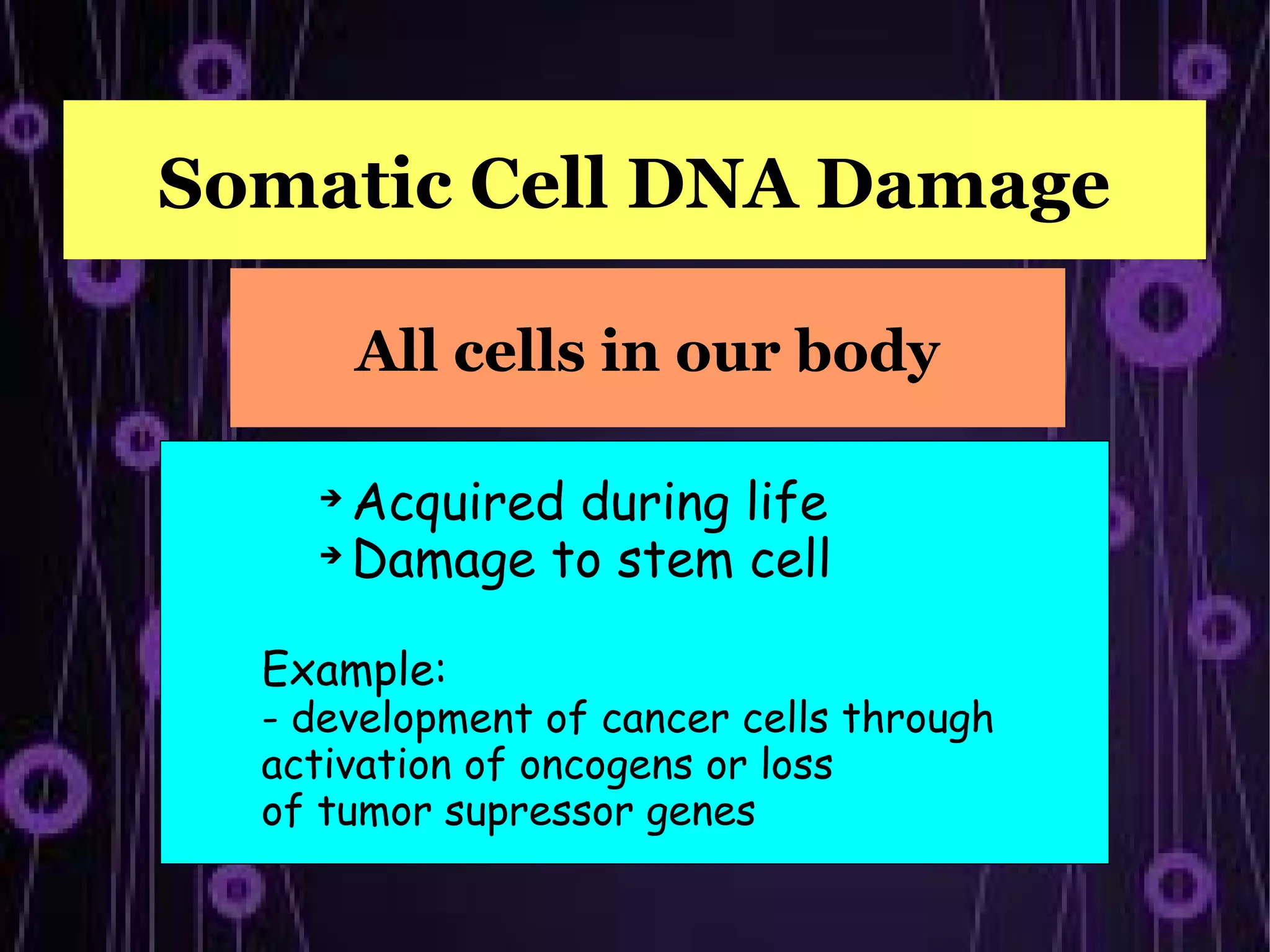Somatic Cell DNA Damage

        All cells in our body

    
      Acquired during life
    
      Damage to stem cell

  Example:
  - development of cancer cells through
  activation of oncogens or loss
  of tumor supressor genes
 
