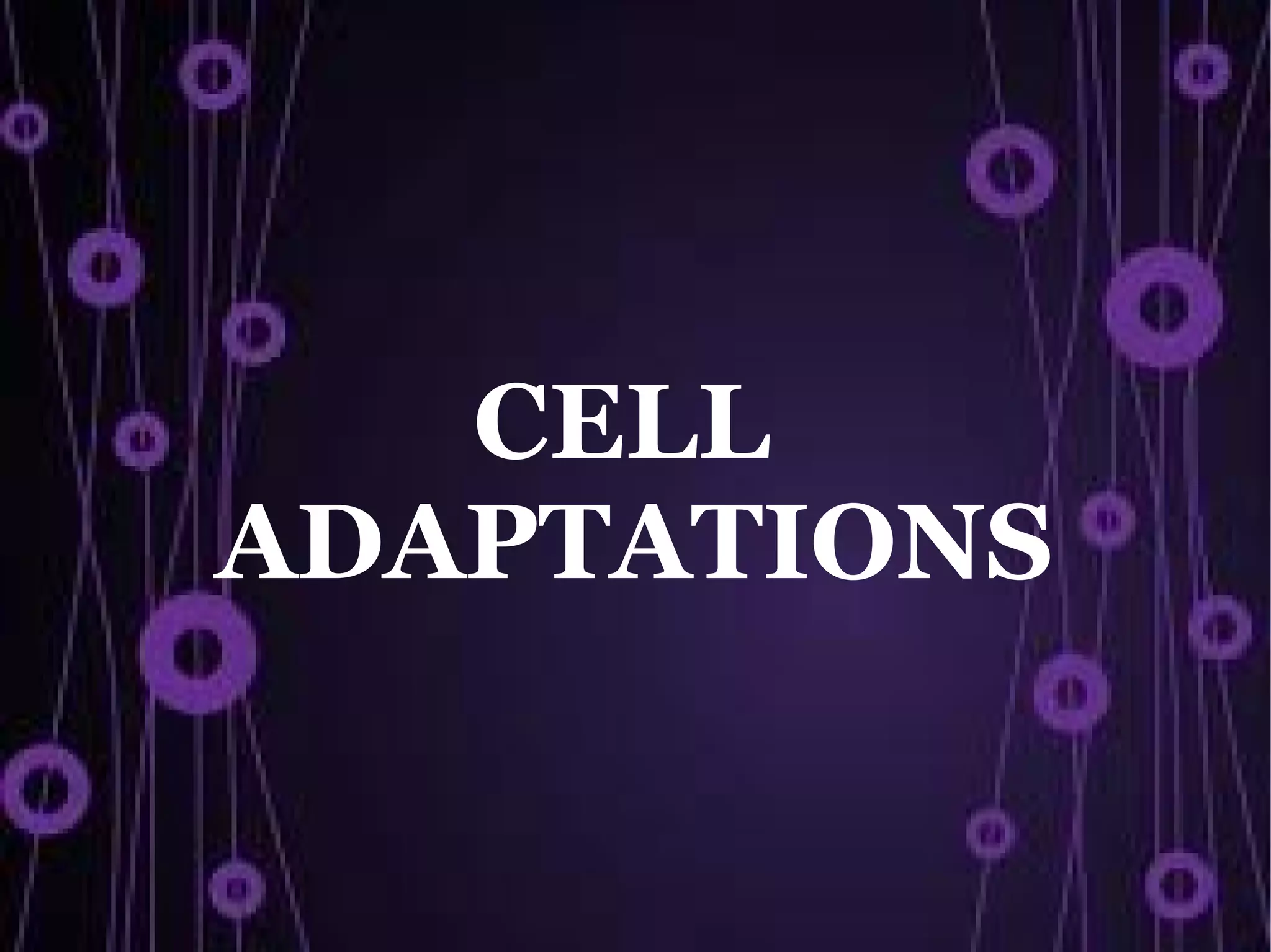 CELL
ADAPTATIONS
 