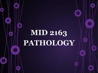 MID 2163
PATHOLOGY
 